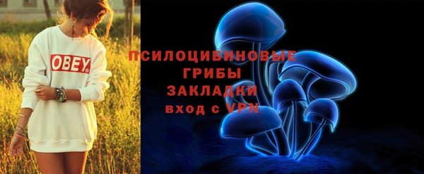 крисы Армянск